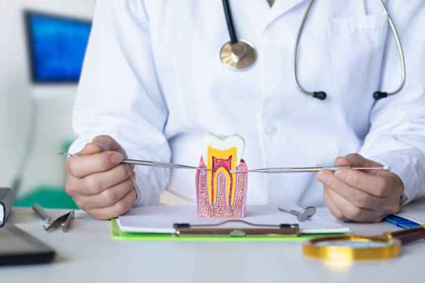 Best After-Hours Emergency Dentist in Cannelton, IN